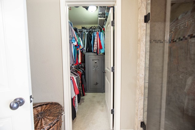 spacious closet featuring carpet flooring