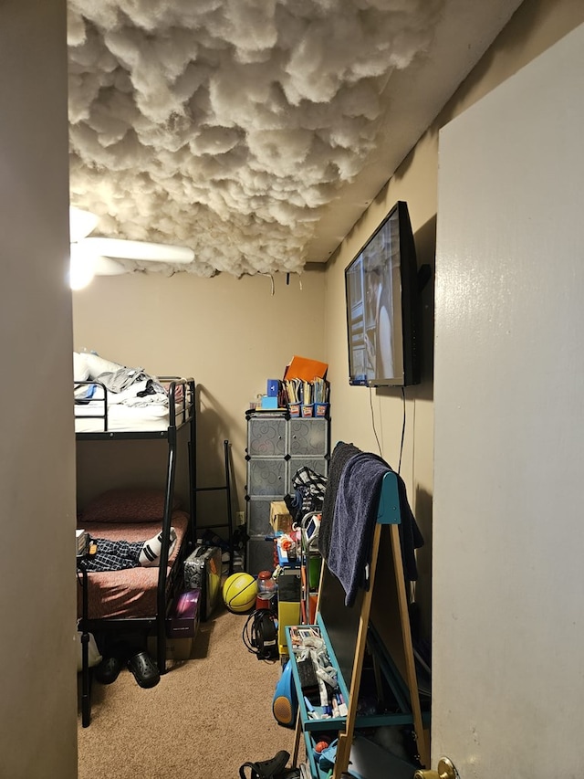 bedroom with carpet flooring