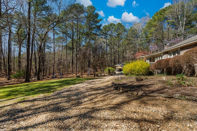 view of yard featuring a forest view