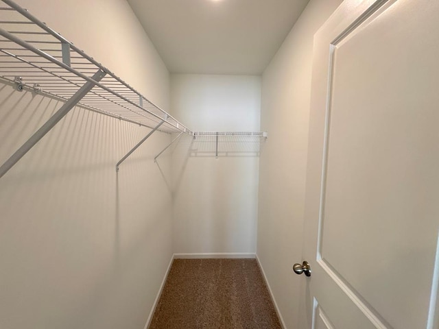 spacious closet with carpet flooring