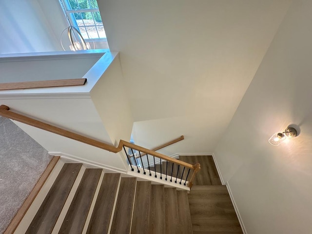 staircase with hardwood / wood-style flooring