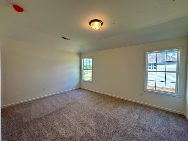 empty room featuring carpet floors and plenty of natural light