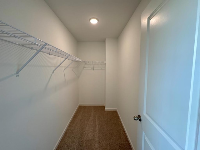 spacious closet featuring carpet flooring