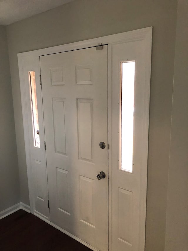 foyer entrance with a healthy amount of sunlight