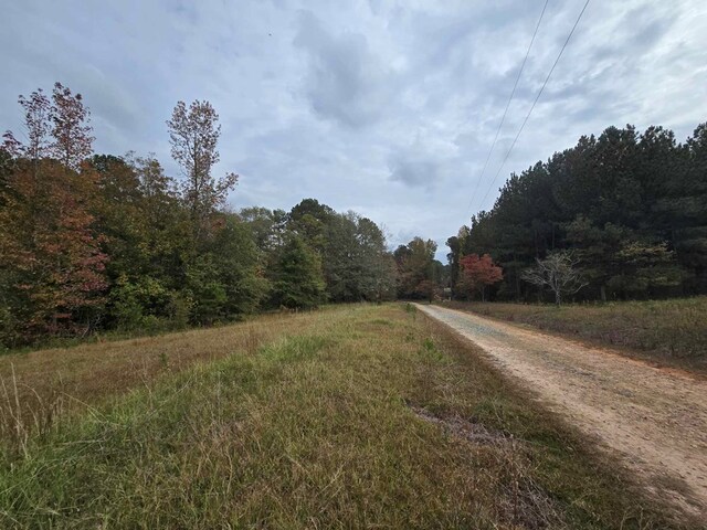 view of rear view of property