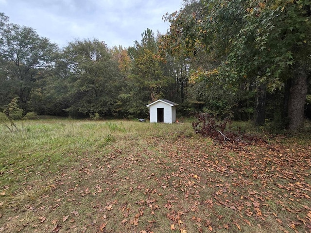 view of yard with a shed