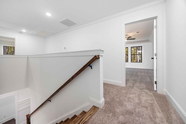 hallway featuring light colored carpet and ornamental molding