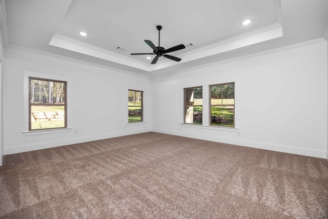 unfurnished room with a tray ceiling, a wealth of natural light, and crown molding