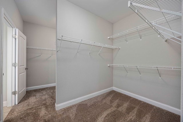 walk in closet with carpet