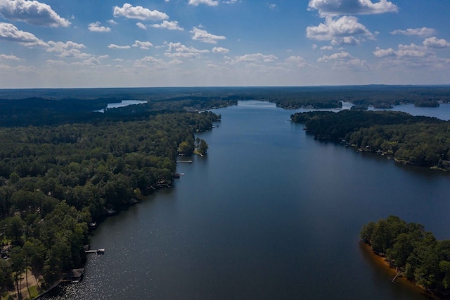 333 Eastside Dr Unit 4, Fortson, GA 31808 - aerial view featuring a wooded view and a water view