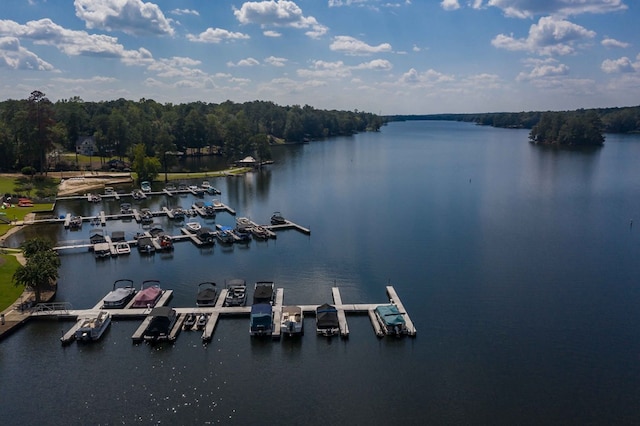 333 Eastside Dr Unit 4, Fortson, GA 31808 - exterior space with a water view