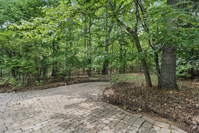 exterior space featuring a forest view and a patio