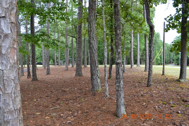 21 Lookout Dr, Hamilton, GA 31811 - photo 26