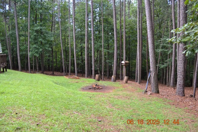 21 Lookout Dr, Hamilton, GA 31811 - photo 29