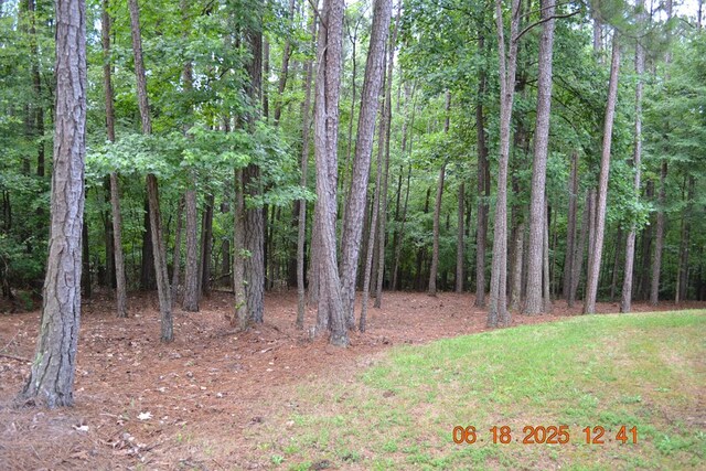 21 Lookout Dr, Hamilton, GA 31811 - photo 27