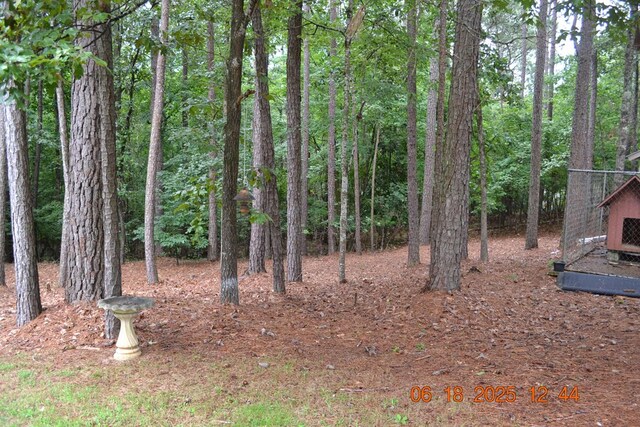21 Lookout Dr, Hamilton, GA 31811 - photo 28