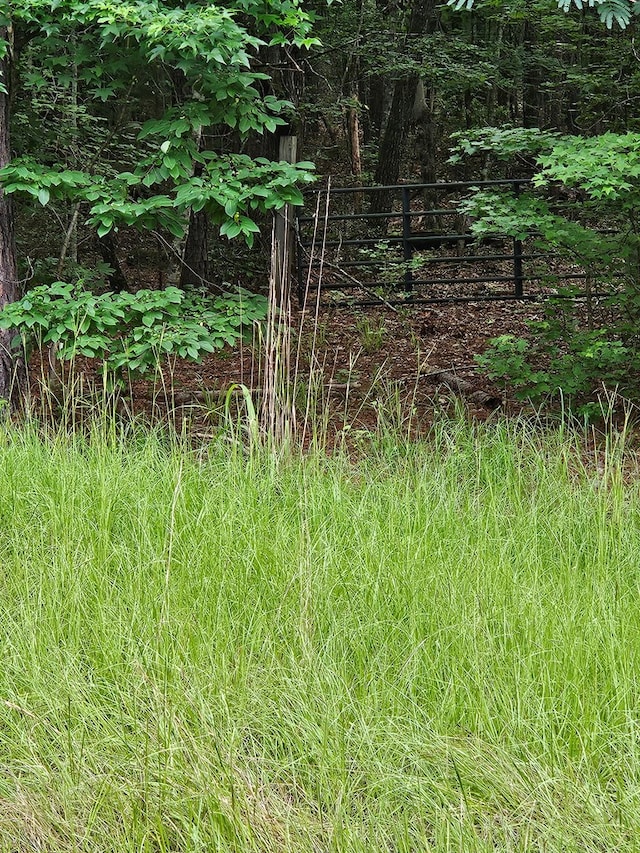 0 Barnes Mill Rd, Hamilton, GA 31811