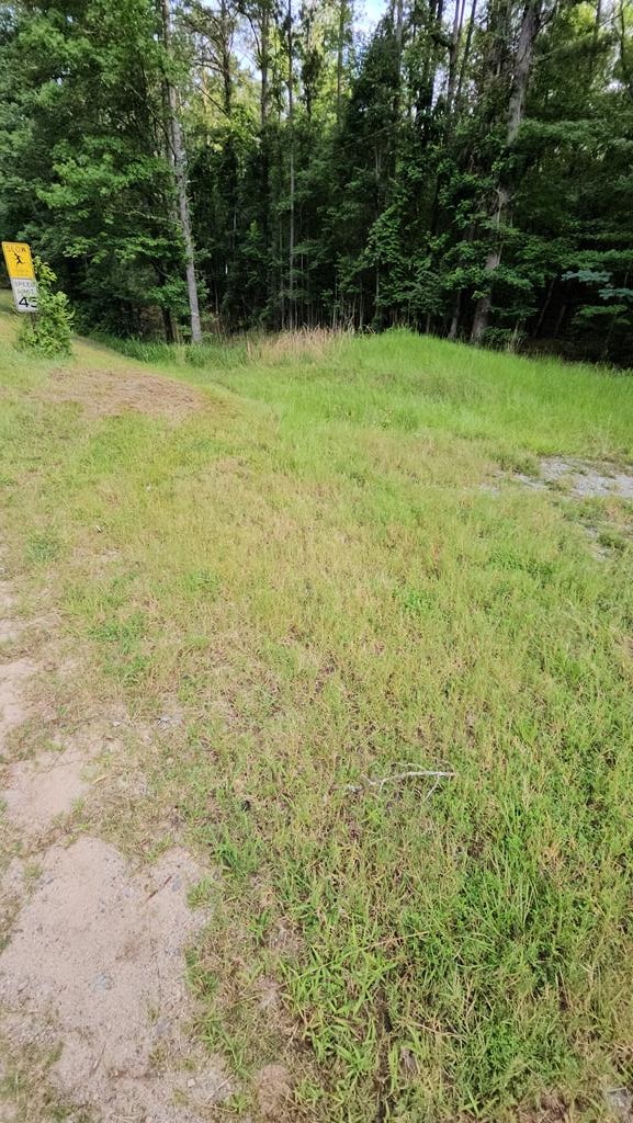 0 Barnes Mill Rd, Hamilton, GA 31811