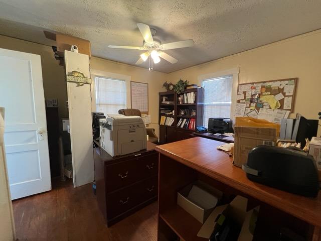 office with a wealth of natural light, dark hardwood / wood-style flooring, ceiling fan, and a textured ceiling