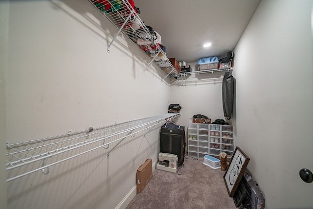 walk in closet with carpet flooring