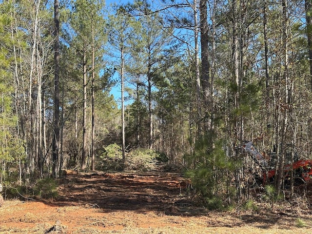 view of local wilderness