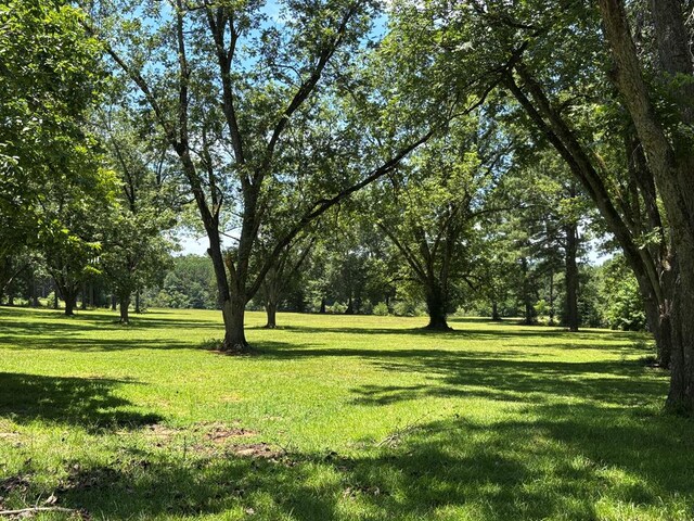 221 S Broad St, Buena Vista, GA 31803 - photo 50