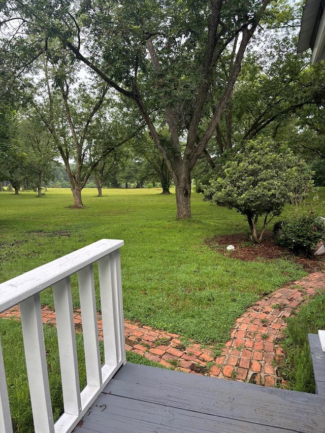 221 S Broad St, Buena Vista, GA 31803 - photo 37