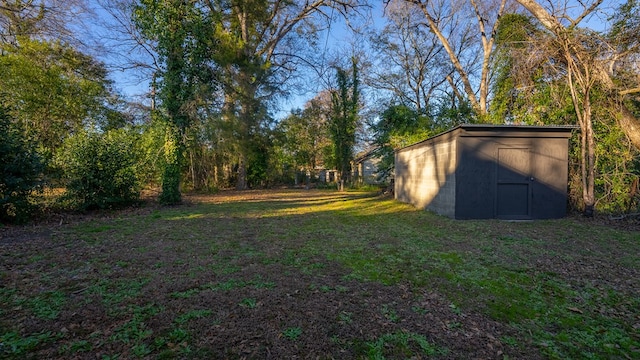 view of yard with a storage shed