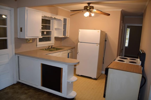 kitchen featuring ceiling fan, sink, crown molding, white fridge, and white cabinets