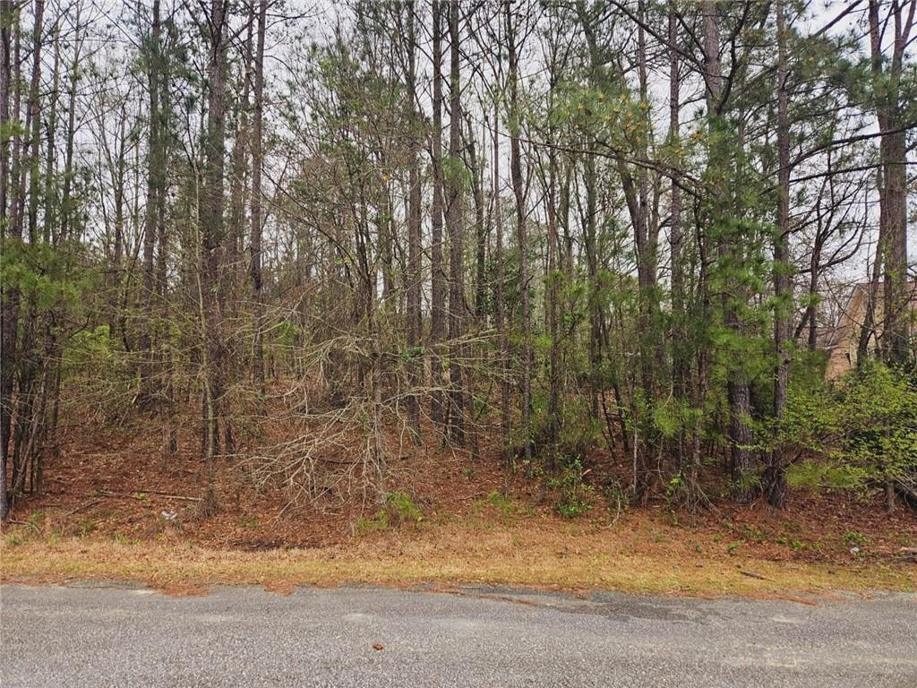 0 Lee Rd Unit 0243 # 28, Smiths Station, AL 36877