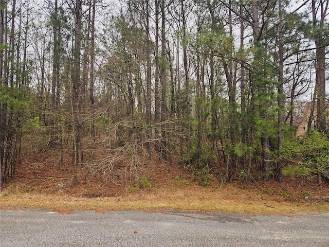 0 Lee Rd Unit 0243 # 28, Smiths Station, AL 36877