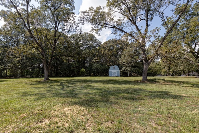 view of yard with a storage shed