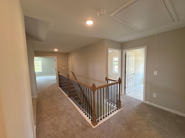 hallway with carpet flooring