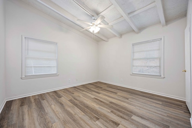 empty room featuring ceiling fan, wood-type flooring, and a wealth of natural light