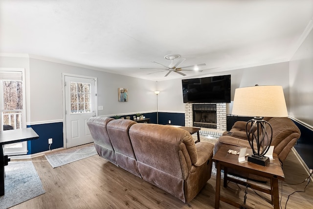 living room with crown molding, a fireplace, ceiling fan, and wood finished floors