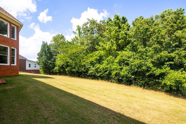 1409 Fall Branch Dr, Phenix City, AL 36868 - photo 42