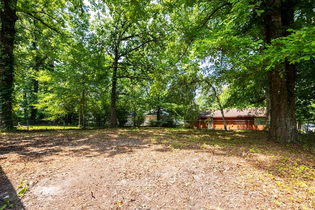 2917 Doyle Ave, Columbus, GA 31907 - view of yard