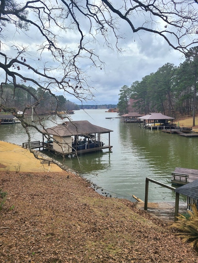 dock area featuring a water view