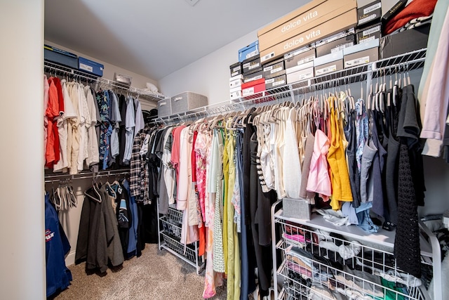 8008 Barton Dr, Midland, GA 31820 - spacious closet with carpet flooring