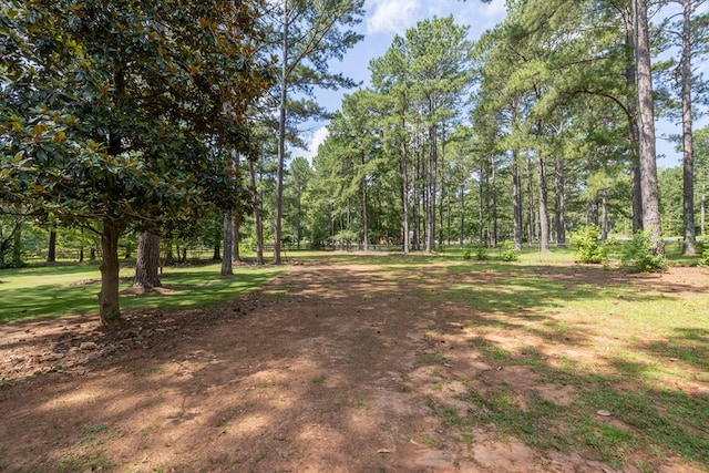 3292 Lee Road 0250, Salem, AL 36874 - photo 6