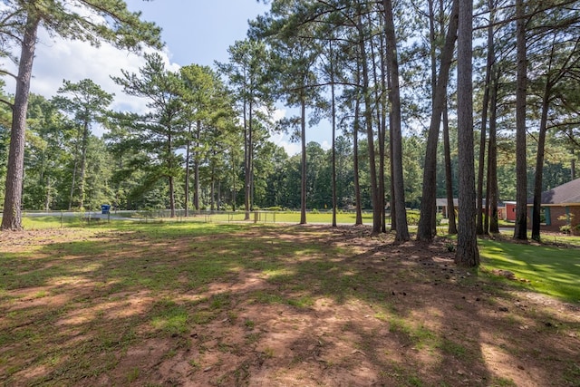 3292 Lee Road 0250, Salem, AL 36874 - photo 7