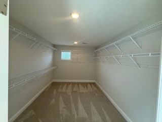7300 Pine Chase Dr, Midland, GA 31820 - spacious closet with carpet