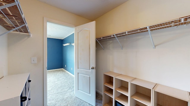 4756 Timarron Loop, Columbus, GA 31909 - walk in closet with light carpet