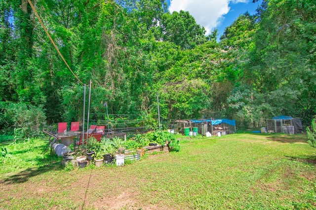 5063 3rd Ave, Columbus, GA 31904 - view of yard with a vegetable garden