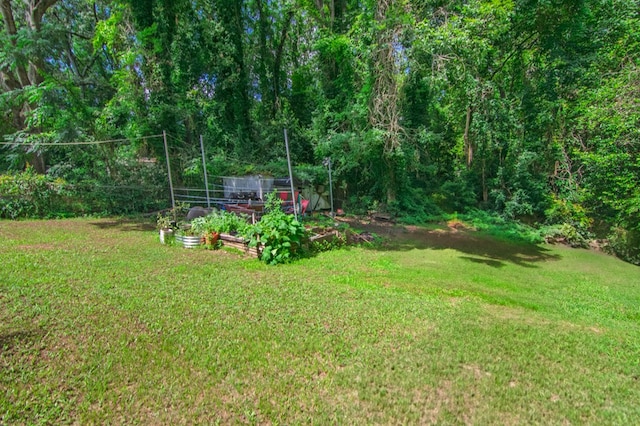 5063 3rd Ave, Columbus, GA 31904 - view of grassy yard featuring a vegetable garden