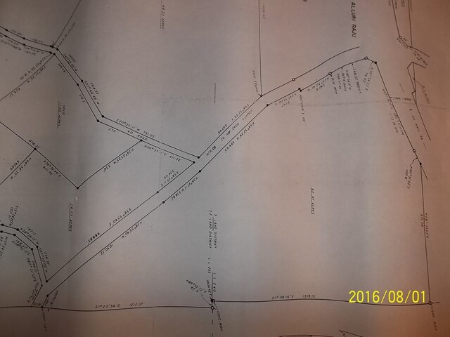 0BURGINVILLER Burginville Rd, Buena Vista, GA 31803