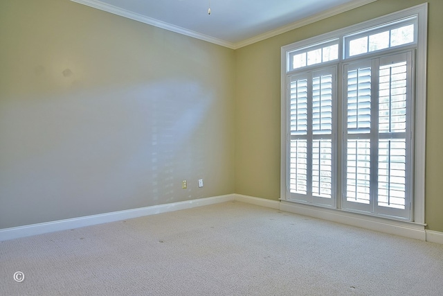 4701 Turnberry Ln Unit 6, Columbus, GA 31909 - carpeted spare room featuring crown molding and a wealth of natural light