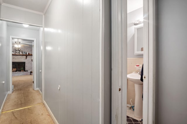 corridor with carpet flooring and crown molding