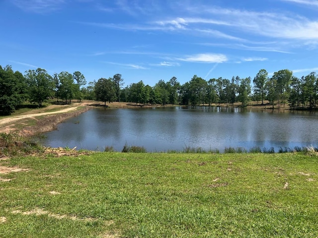 view of water feature