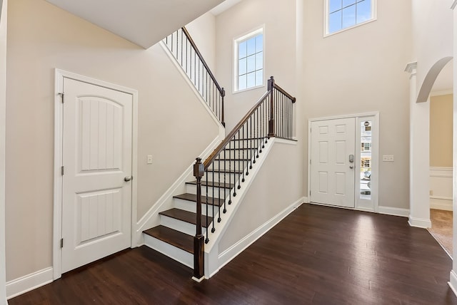 entrance foyer featuring a high ceiling, a healthy amount of sunlight, and dark hardwood / wood-style flooring